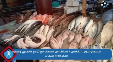 الأسعار اليوم.. انخفاض 4 أصناف من السمك مع تراجع الجمبري وصعود المكرونة 5 جنيهات